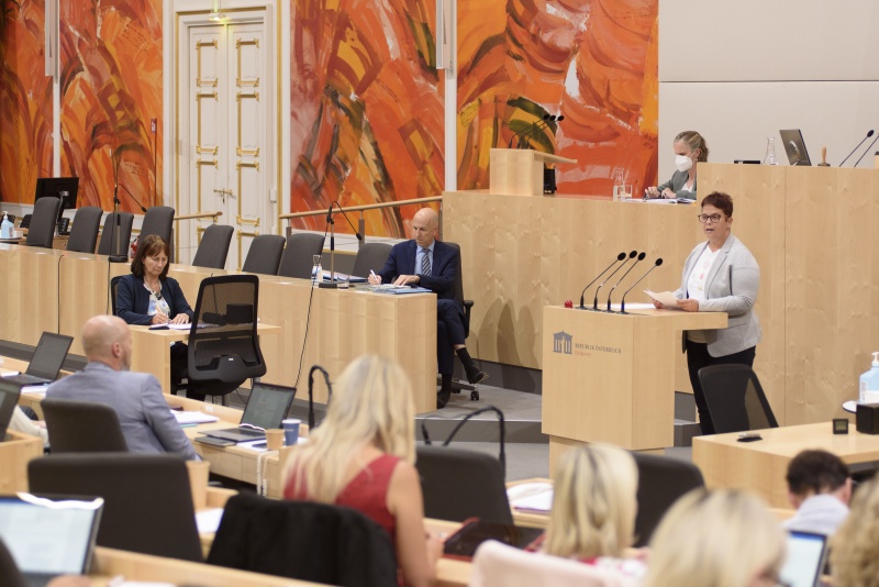 Bundesrätin Nicole Riepl (SPÖ) am Rednerpult