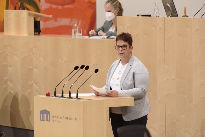 Bundesrätin Nicole Riepl (SPÖ) am Rednerpult