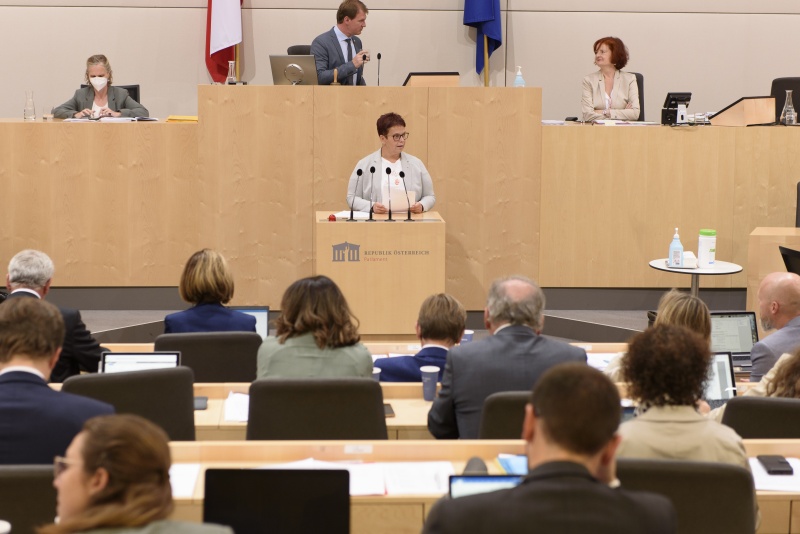 Bundesrätin Nicole Riepl (SPÖ) am Rednerpult