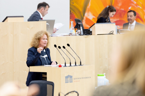 Europaabgeordnete Monika Vana (Grüne) am Rednerpult