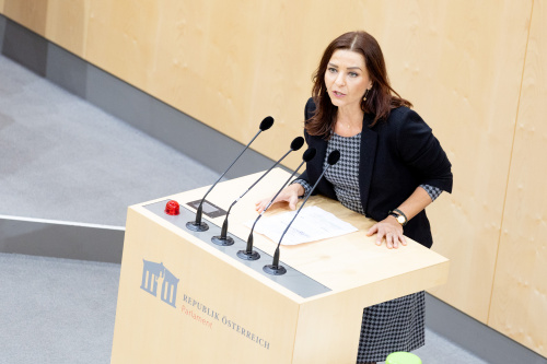 Nationalratsabgeordnete Ewa Ernst-Dziedzic (GRÜNE) am Rednerpult