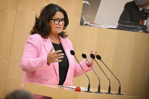 Nationalratsabgeordnete Elisabeth Scheucher-Pichler (ÖVP) am Rednerpult