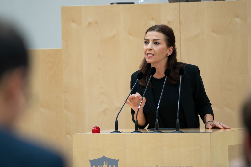 Nationalratsabgeordnete Ewa Ernst-Dziedzic (GRÜNE)