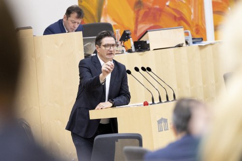 Am Rednerpult Nationalratsabgeordneter Reinhold Einwallner (SPÖ)
