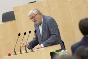 Nationalratsabgeordneter Christoph Matznetter (SPÖ) am Rednerpult