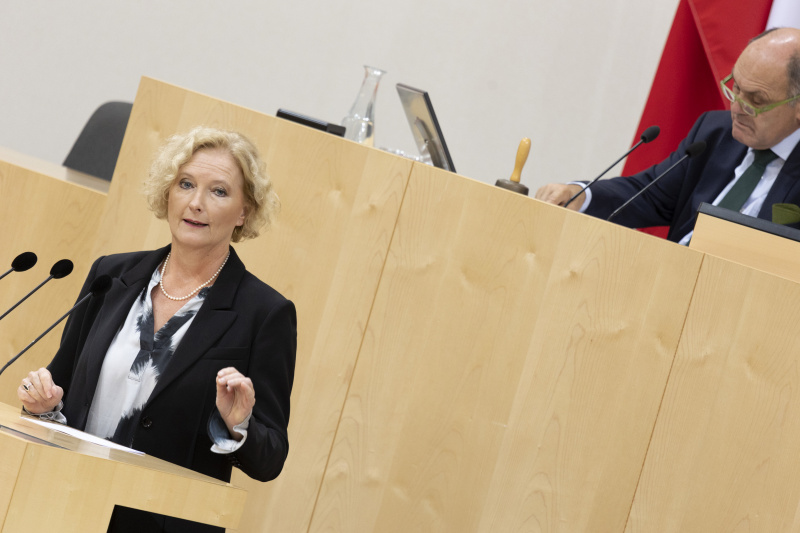 Nationalratspräsident Wolfgang Sobotka (ÖVP) am Präsidium, Nationalratsabgeordnete Karin Greiner (SPÖ) am Rednerpult