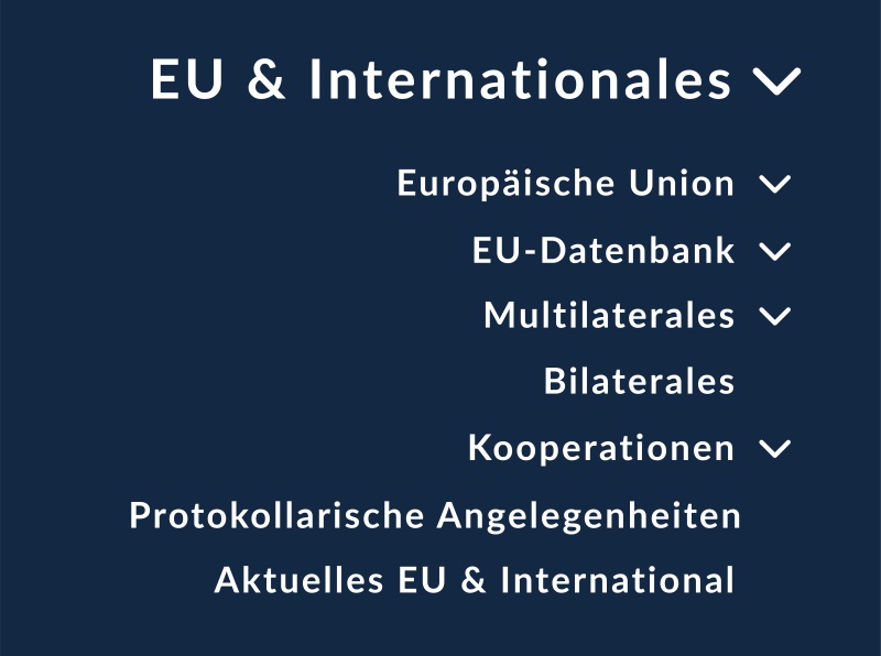 Menüpunkt EU & Internationales