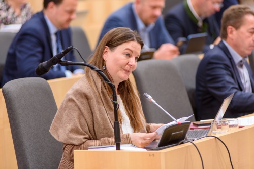 Nationalratsabgeordnete Karin Doppelbauer (NEOS) am Wort