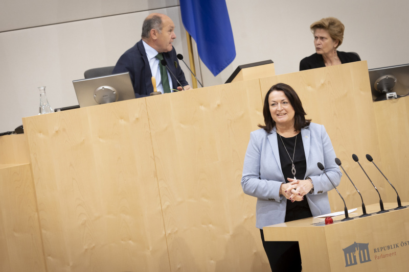 Nationalratsabgeordnete Petra Wimmer (SPÖ) am Rednerpult