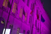 Lila Fassadenbeleuchtung des Parlaments anlässlich des Purple Light Up Days