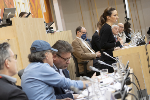 Am Rednerpult Nationalratsabgeordnete Susanne Fürst (FPÖ)