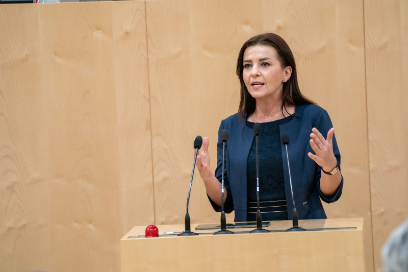Nationalratsabgeordnete Ewa Ernst-Dziedzic (GRÜNE) am Rednerpult
