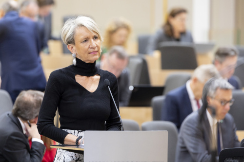 Nationalratsabgeordnete Romana Deckenbacher (ÖVP) am Rednerpult