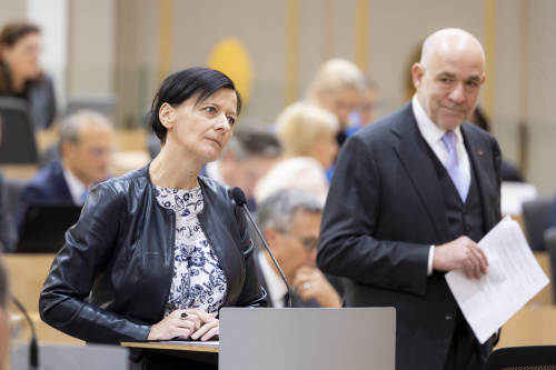 Am Rednerpult Nationalratsabgeordnete Sabine Schatz (SPÖ), im Hintergrund Nationalratsabgeordneter Martin Engelberg (ÖVP)