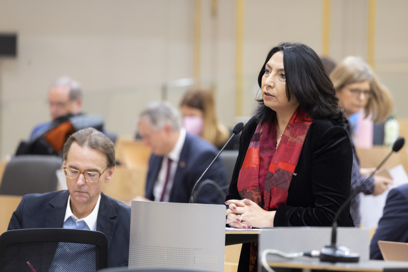 Am Rednerpult Nationalratsabgeordnete Selma Yildirim (SPÖ)