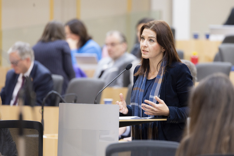 Am Rednerpult Nationalratsabgeordnete Ewa Ernst-Dziedzic (GRÜNE)