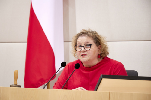 Bundesratspräsidentin Korinna Schumann (SPÖ) am Präsidium