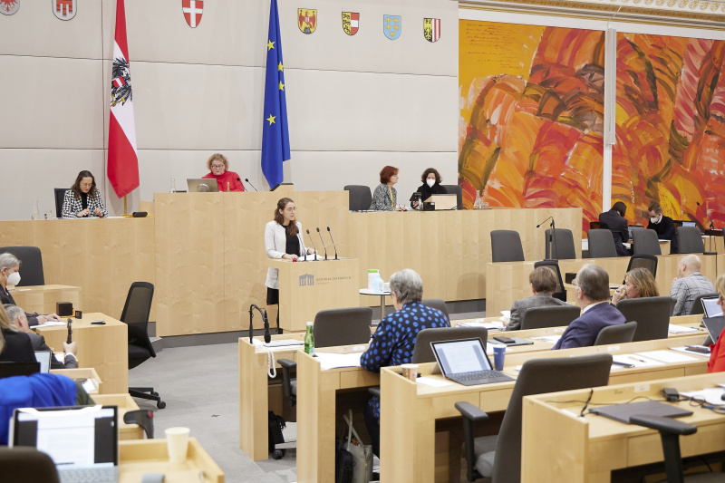 Am Rednerpult Bundesrätin Elisabeth Wolff (ÖVP)