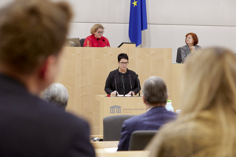 Am Rednerpult Bundesrätin Nicole Riepl (SPÖ)