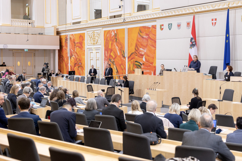 Bundesratspräsidentin Korinna Schumann (SPÖ) am Präsidium