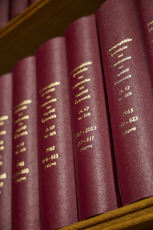 Stenographische Protolle - rote Buchrücken