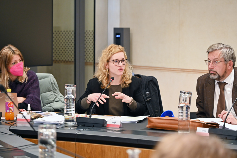 Nationalratsabgeordnete Eva Maria Holzleitner (SPÖ)