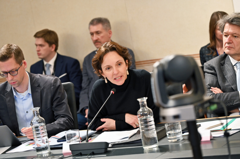 Nationalratsabgeordnete Martina Künsberg Sarre (NEOS)