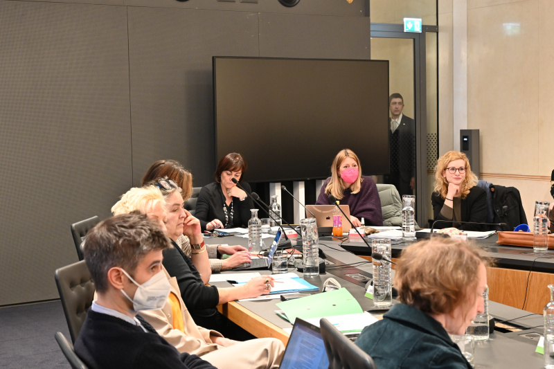 Blick Richtung Ausschussteilnehmer:innen