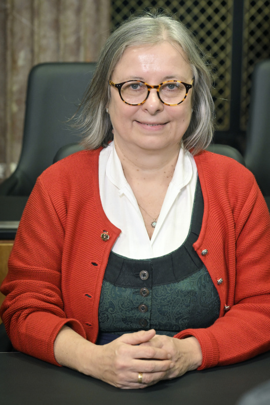 Bundesrätin Bettina Lancaster  (SPÖ)