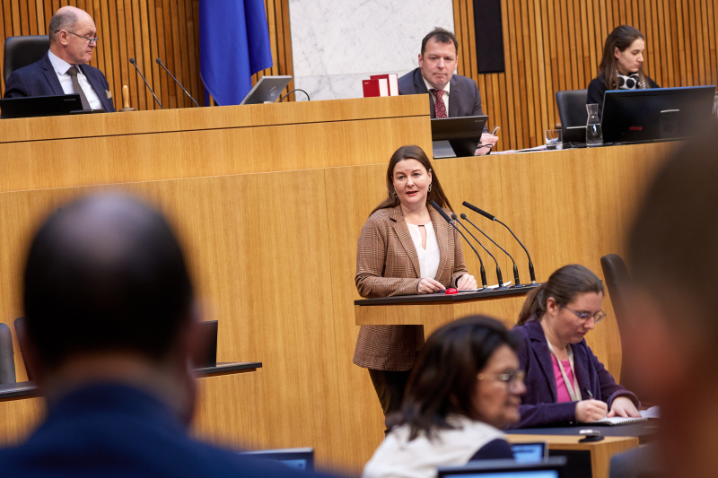 Am Rednerpult Nationalratsabgeordnete Karin Doppelbauer (NEOS)