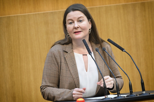 Am Rednerpult: Nationalratsabgeordnete Karin Doppelbauer (NEOS)
