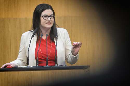 Am Rednerpult: Nationalratsabgeordnete Melanie Erasim (SPÖ)