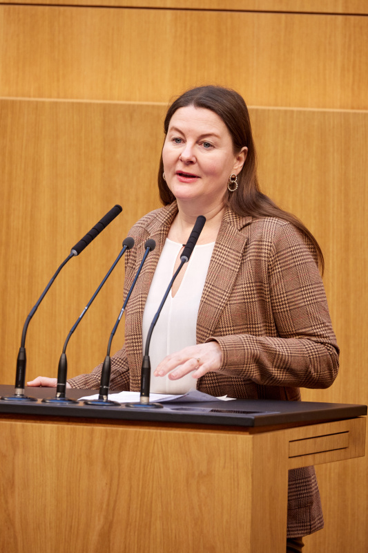 Am Rednerpult Nationalratsabgeordnete Karin Doppelbauer (NEOS)