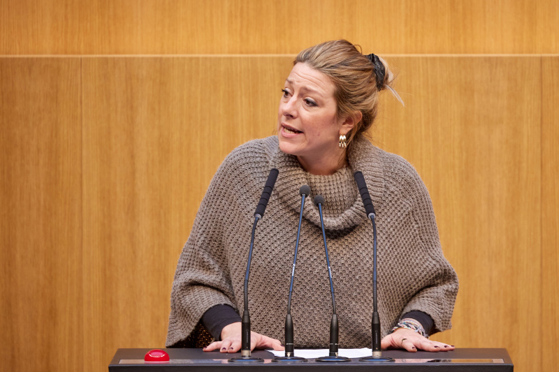 Am Rednerpult Nationalratsabgeordnete Katharina Kucharowits (SPÖ)