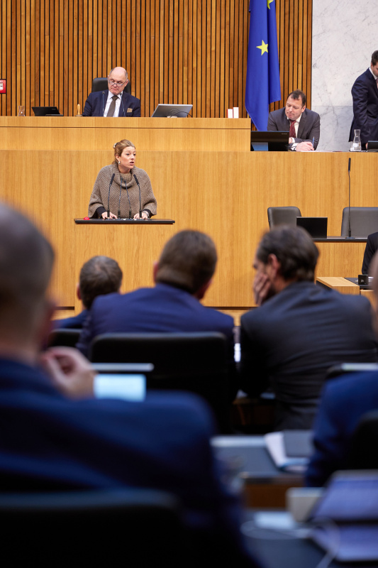 Am Rednerpult Nationalratsabgeordnete Katharina Kucharowits (SPÖ)
