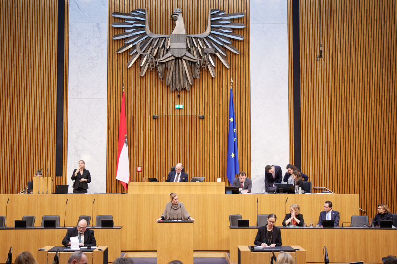 Am Rednerpult Nationalratsabgeordnete Katharina Kucharowits (SPÖ)