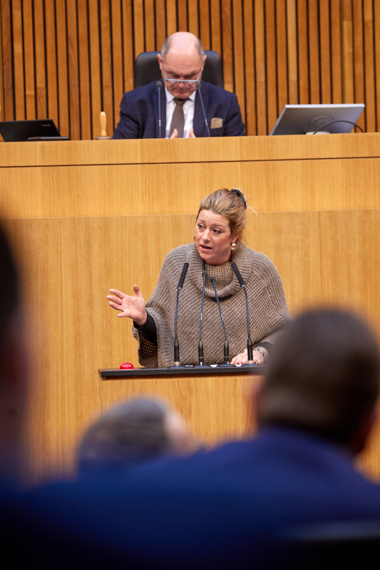 Am Rednerpult Nationalratsabgeordnete Katharina Kucharowits (SPÖ)