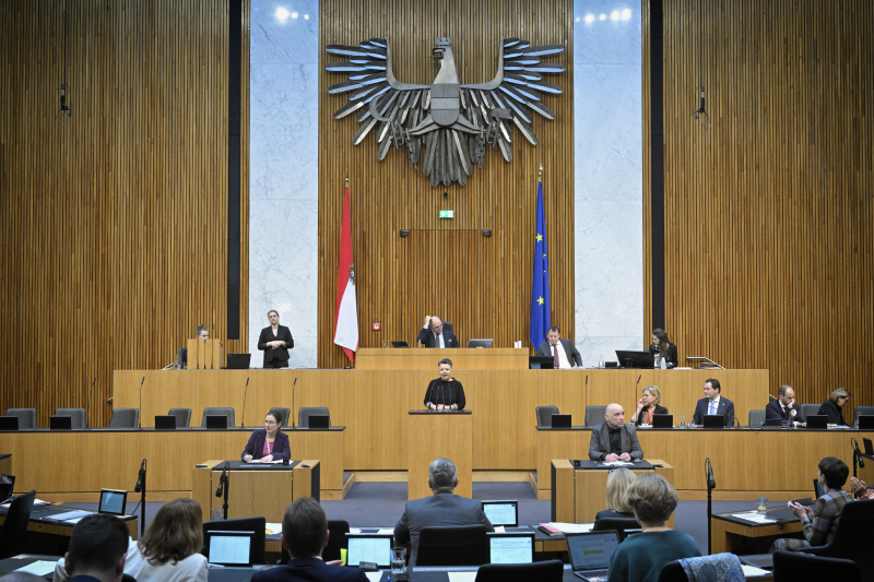 Am Rednerpult: Nationalratsabgeordnete Olga Voglauer (GRÜNE). Blick Richtung Sitzungsteilnehmer:innen