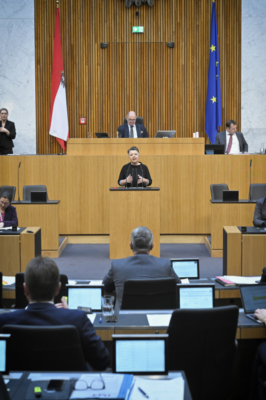 Am Rednerpult: Nationalratsabgeordnete Olga Voglauer (GRÜNE)