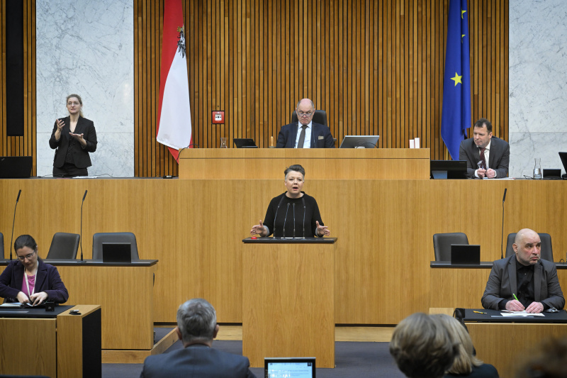 Am Rednerpult: Nationalratsabgeordnete Olga Voglauer (GRÜNE)