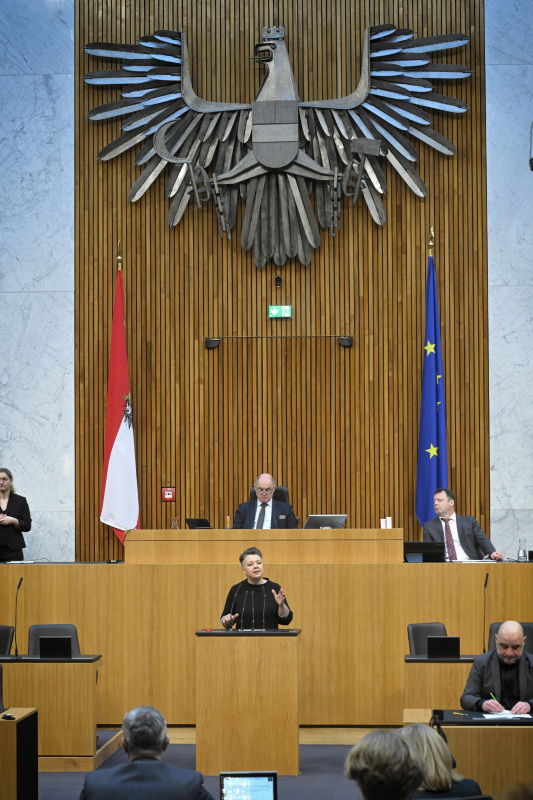 Am Rednerpult: Nationalratsabgeordnete Olga Voglauer (GRÜNE)