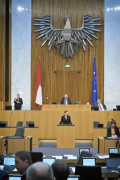 Am Rednerpult: Nationalratsabgeordnete Carmen Jeitler-Cincelli (ÖVP)