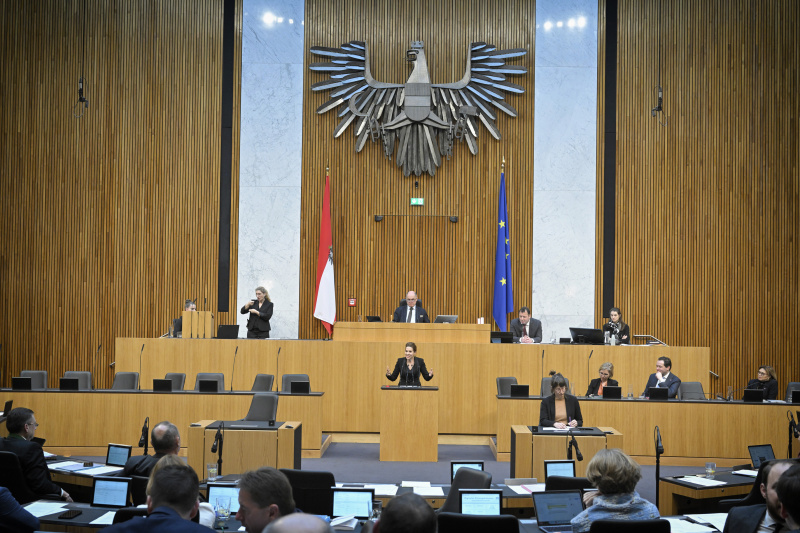 Am Rednerpult: Nationalratsabgeordnete Carmen Jeitler-Cincelli (ÖVP)