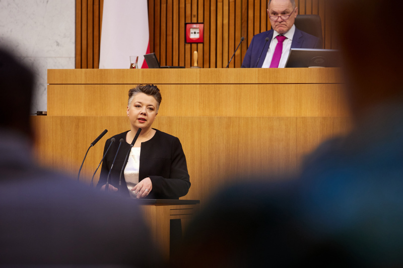 Am Rednerpult Nationalratsabgeordnete Olga Voglauer (GRÜNE)