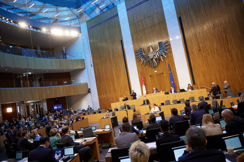 Am Rednerpult Nationalratsabgeordnete Olga Voglauer (GRÜNE)