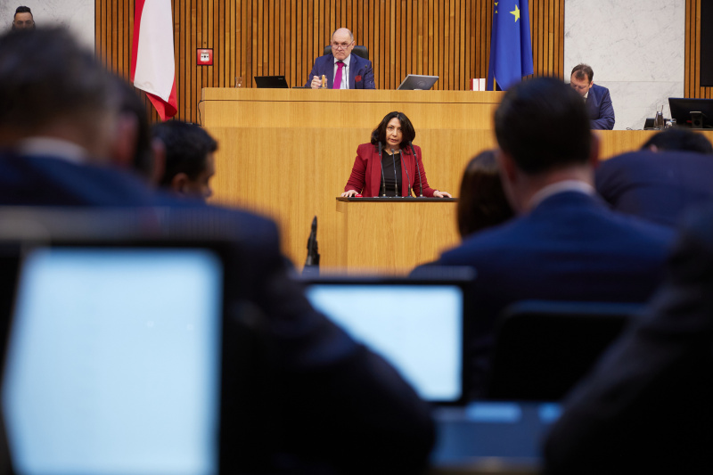 Am Rednerpult Nationalratsabgeordnete Selma Yildirim (SPÖ)