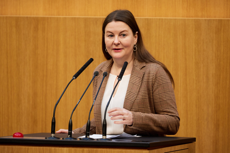 Am Redner:innenpult Nationalratsabgeordnete Karin Doppelbauer (NEOS)