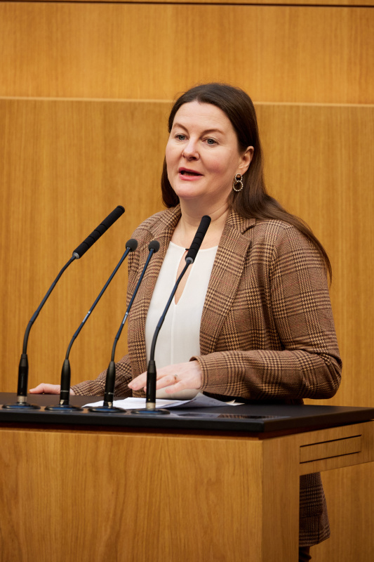 Am Redner:innenpult Nationalratsabgeordnete Karin Doppelbauer (NEOS)