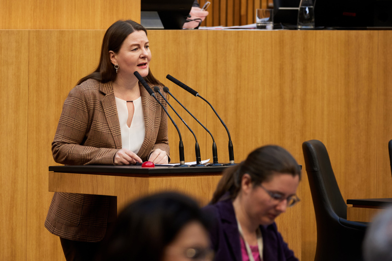 Am Redner:innenpult Nationalratsabgeordnete Karin Doppelbauer (NEOS)