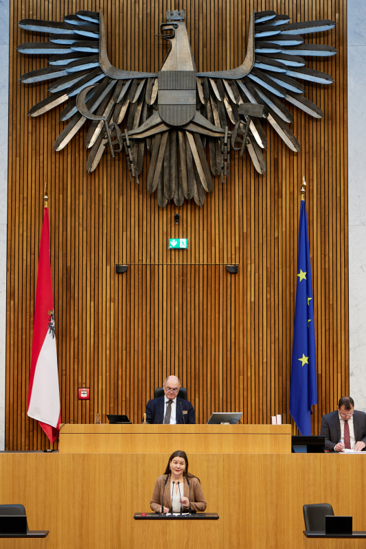 Am Redner:innenpult Nationalratsabgeordnete Karin Doppelbauer (NEOS)